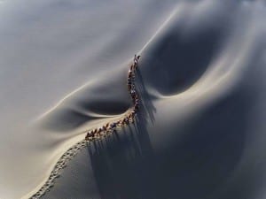Hanbing Wang