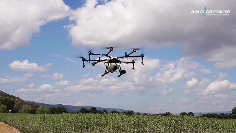 Drones para plantar árboles y semillas | Aerocamaras Especialistas en Drones